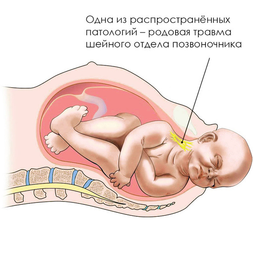 Картинка взята из интернета 