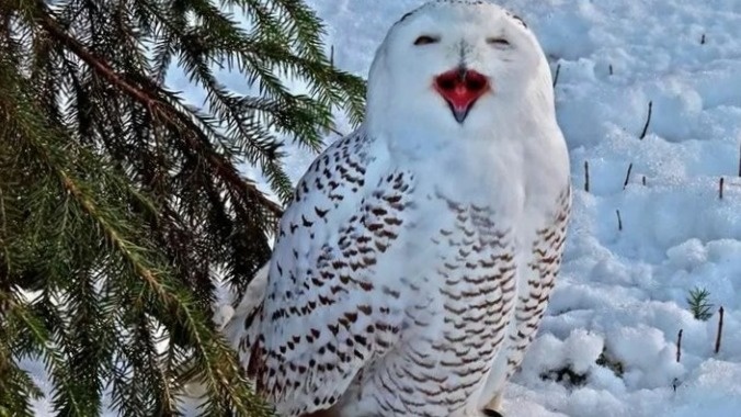 Чего палишь меня?!