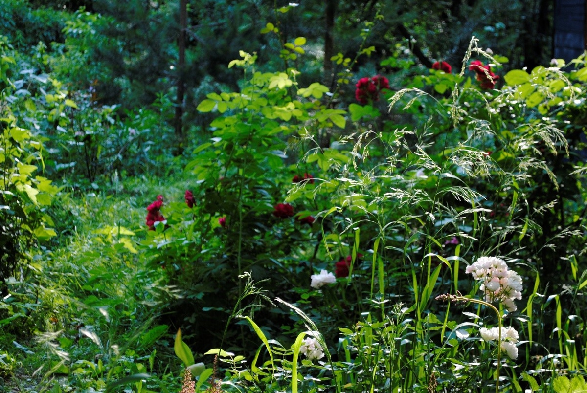 1. Но теперь он у меня есть! Живой и прекрасный. Это поразительно