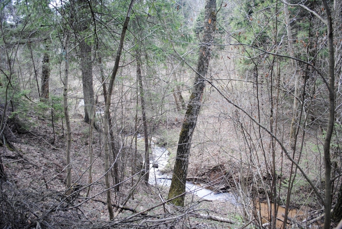 2. Первые дачные фотографии, апрель 2018. В галерее 3 фото, листайте