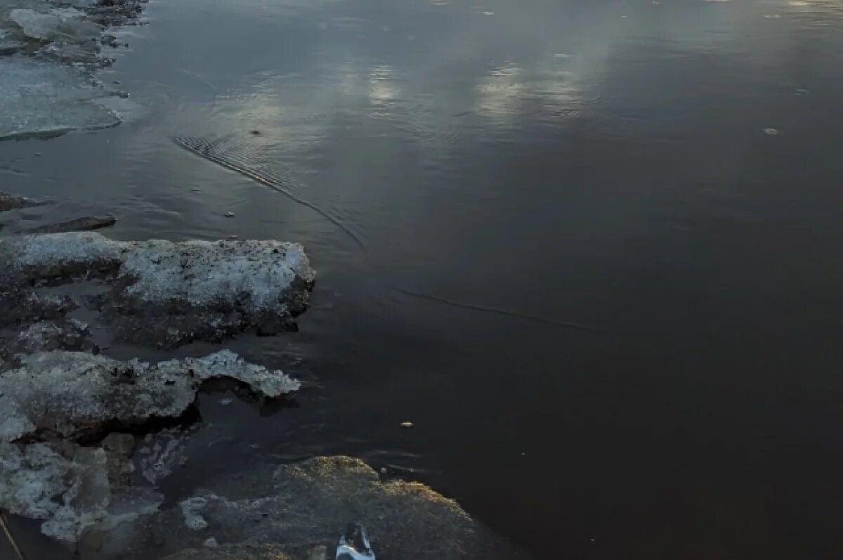    Мужчина 1987 года рождения утонул в водоёме у одного из сёл Дагестана