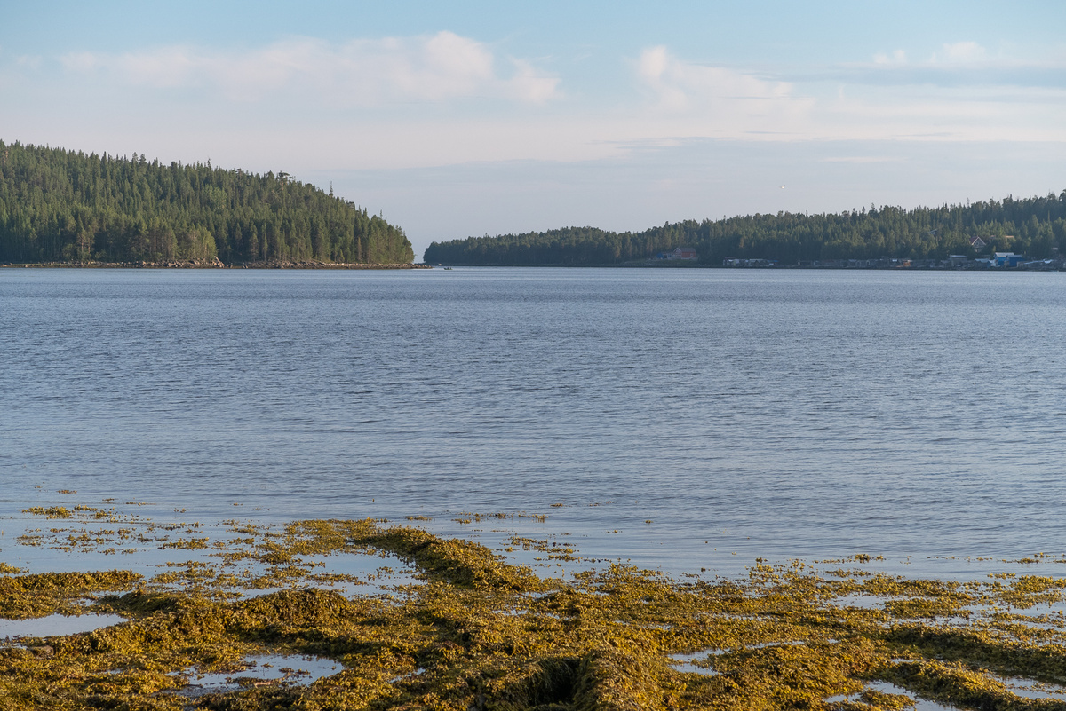 Губа Большая Пирья.