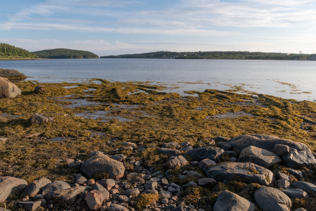 Губа Большая Пирья.