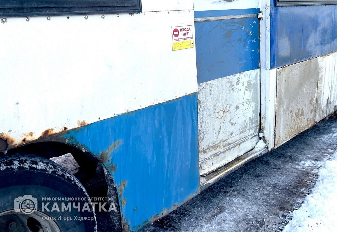 Фото: Игорь Ходжер / ИА «Камчатка» (архив)