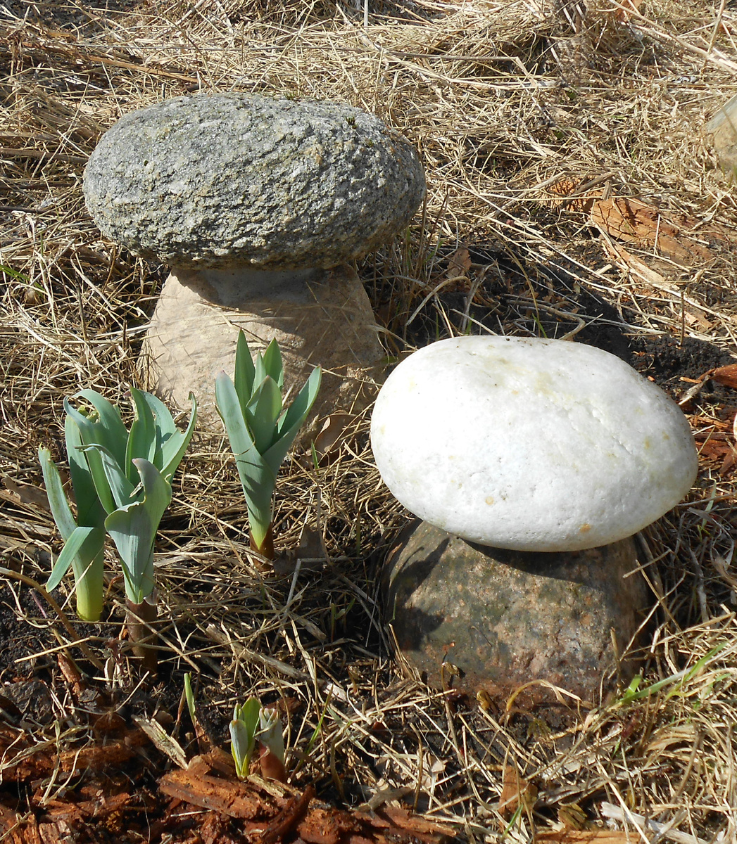 Камень, образцы камня