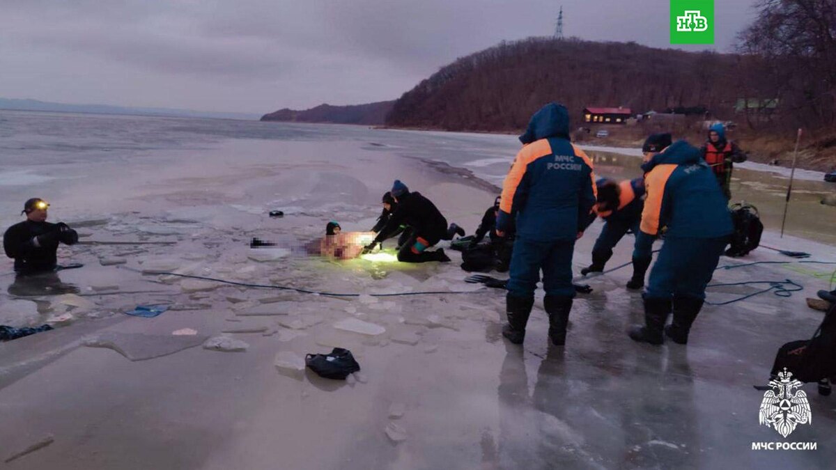    Фото: МЧС РФ