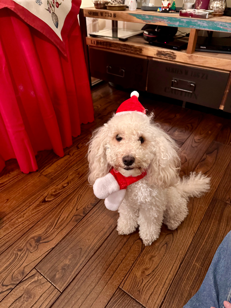 Такая дед морозиха