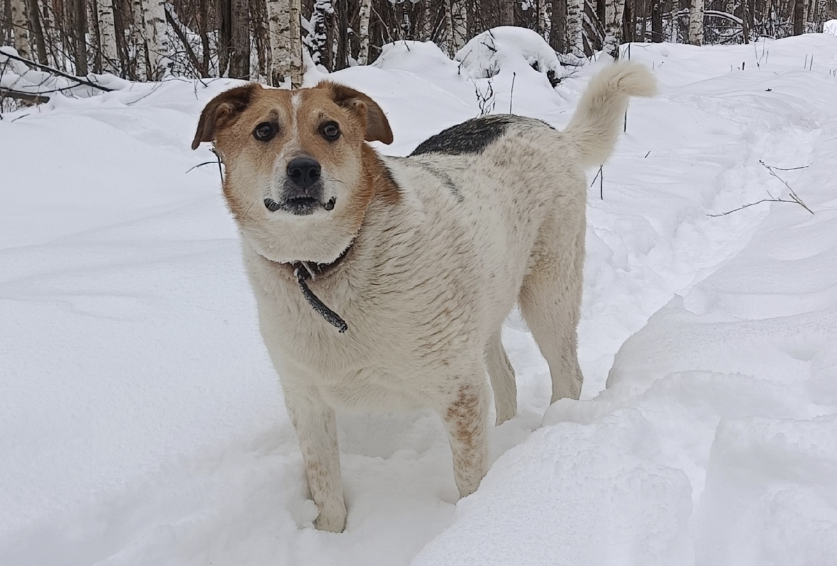 Туся интересуется:" Что день завтрашний нам готовит?!!"