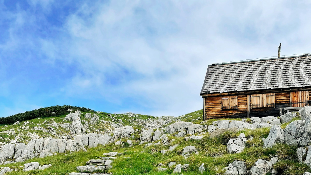 Фото Татьяны Рудневой на Unsplash