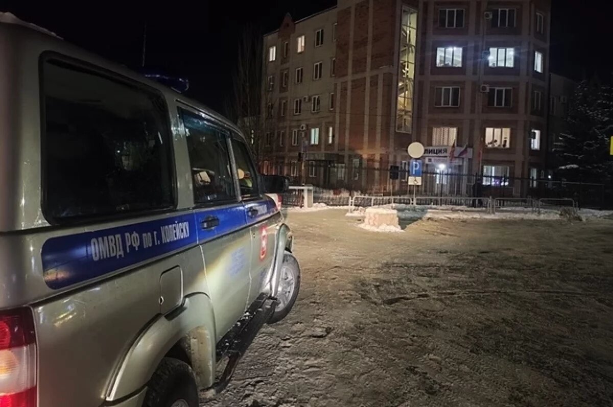    Полиция Копейска нашла нарушителей, повредивших скульптуры ледового городка