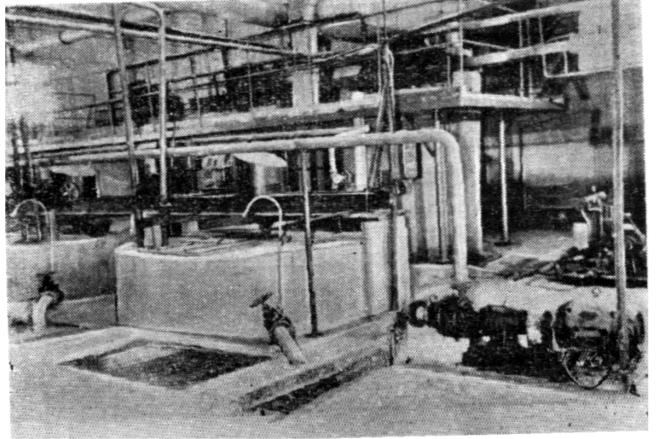 фотография из источника №1