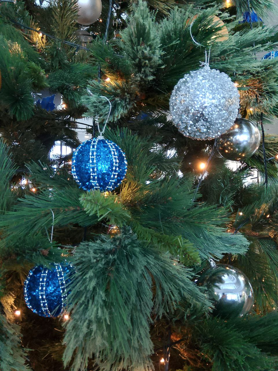 Фото автора.