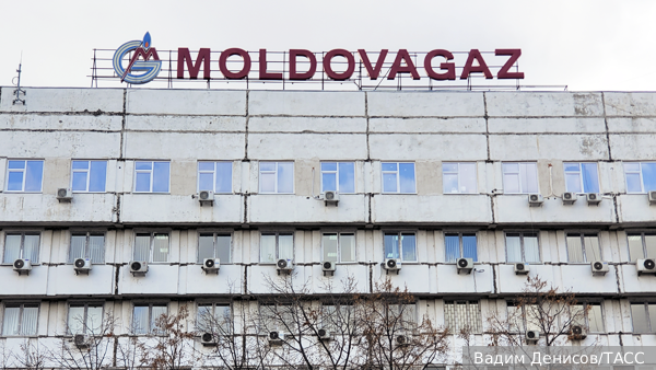     Фото: Вадим Денисов/ТАСС   
 Текст: Алёна Задорожная