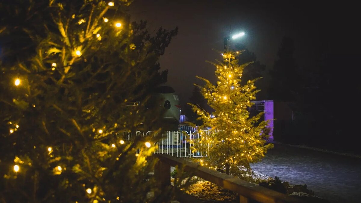     Источник: novostivolgograda.ru