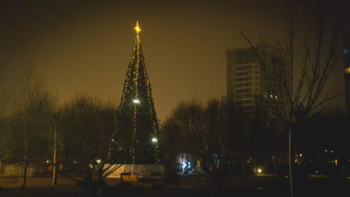     Источник: novostivolgograda.ru