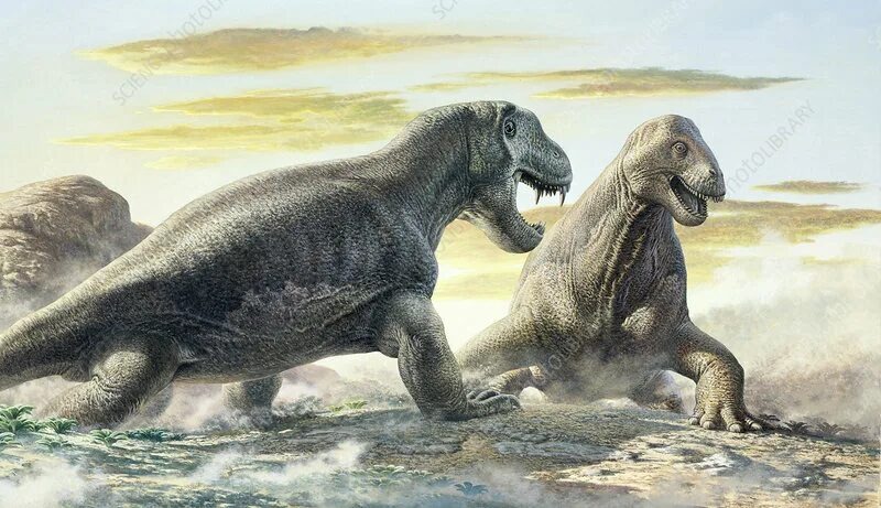 Два дейноцефала: слева - хищный титанофоней, справа - травоядный мосхопс. 