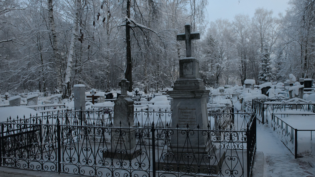    Фото: Shatokhina Natalia/Globallookpress