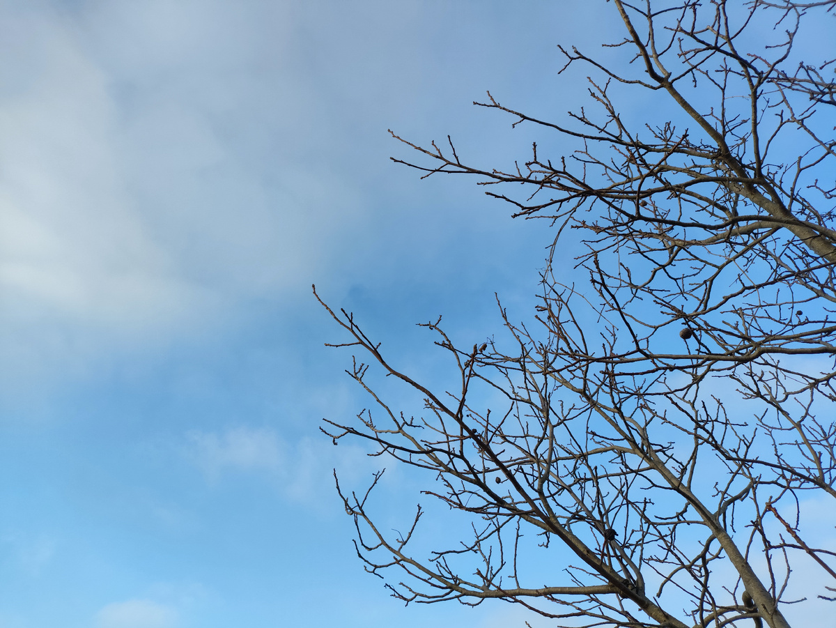 Приветствую тебя, синее небо!