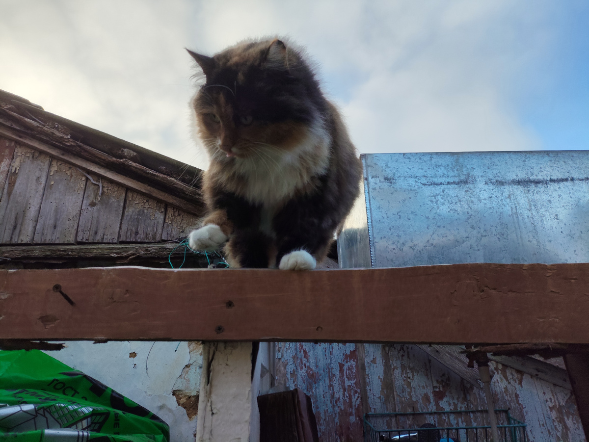 Кривляется