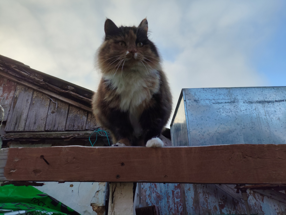 Примеряется