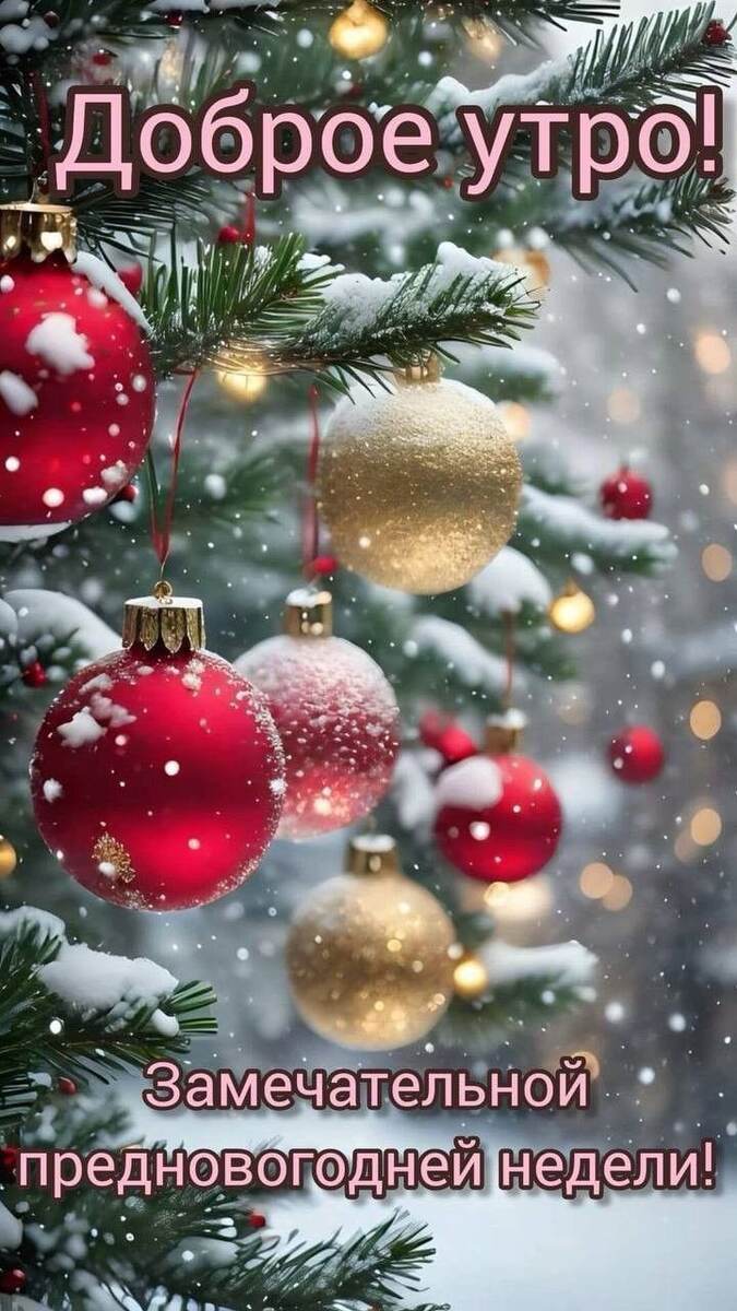 Предновогодних двух дней. 