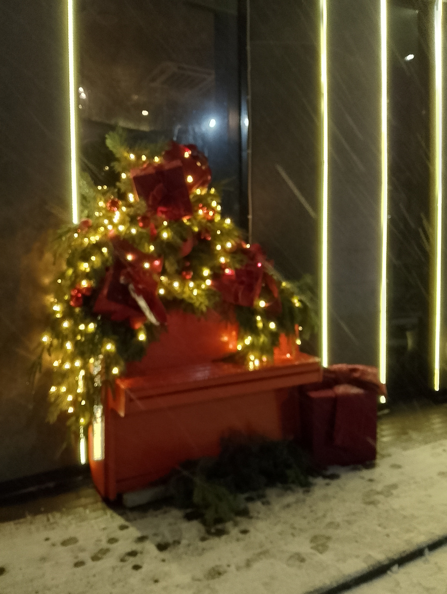 А за окном вчера была опять оттепель, снег с дождём шёл целый день. Фото автора 