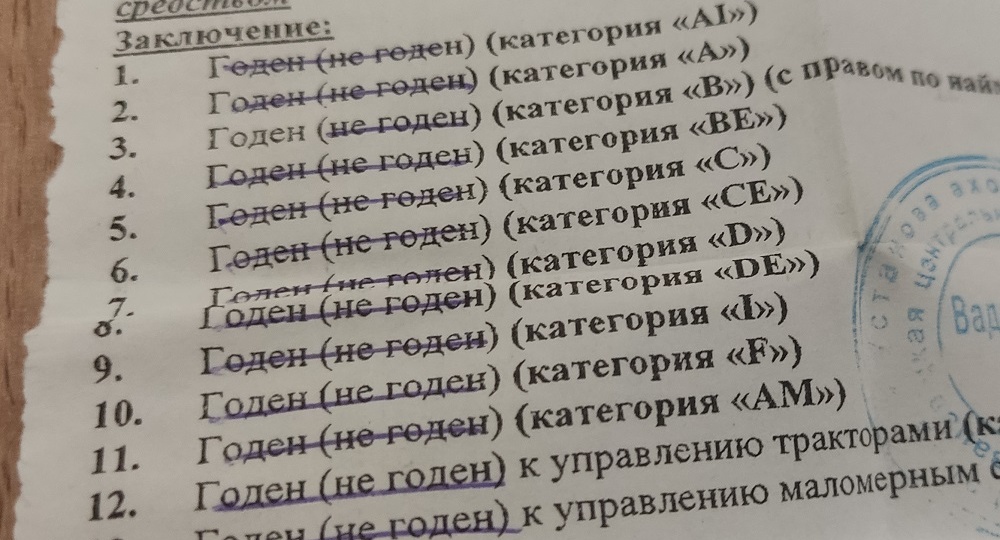 «Водительская справка» на бумаге для ГАИ больше не нужна?