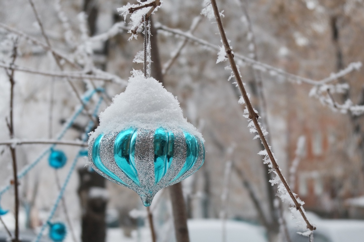 во дворе и дома