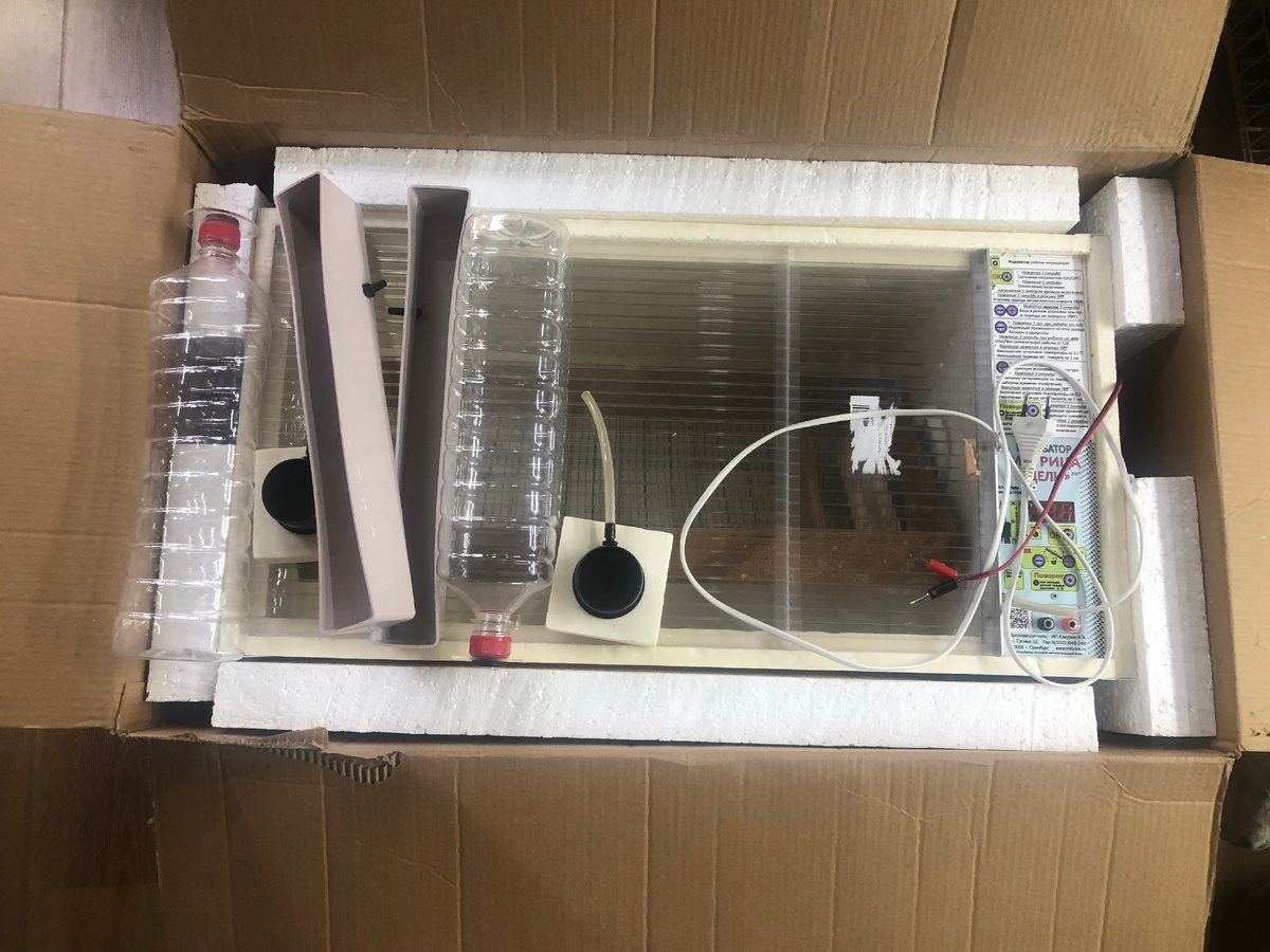 Инкубатор "Матрица Дели". Фото автора