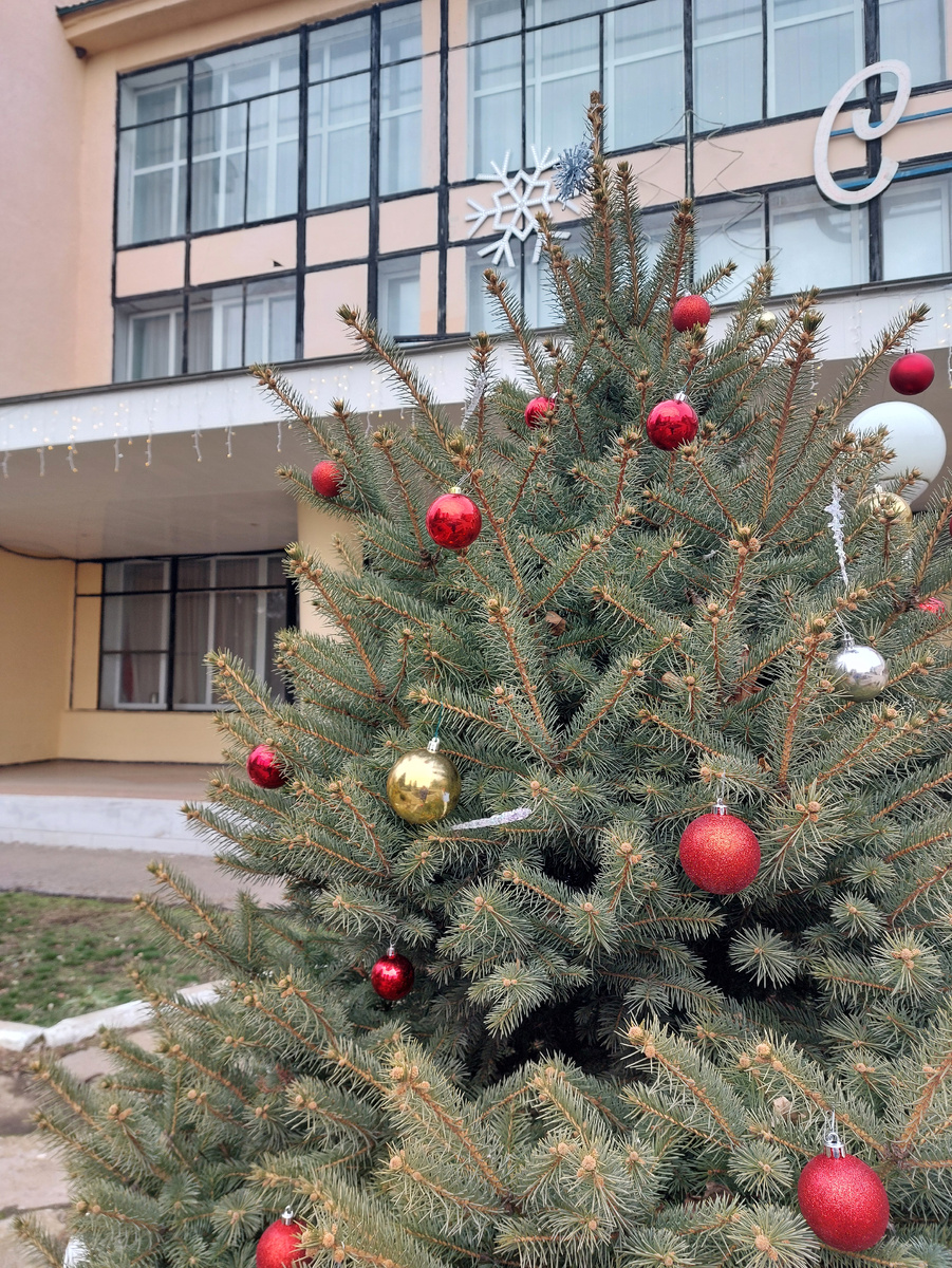 Фото автора