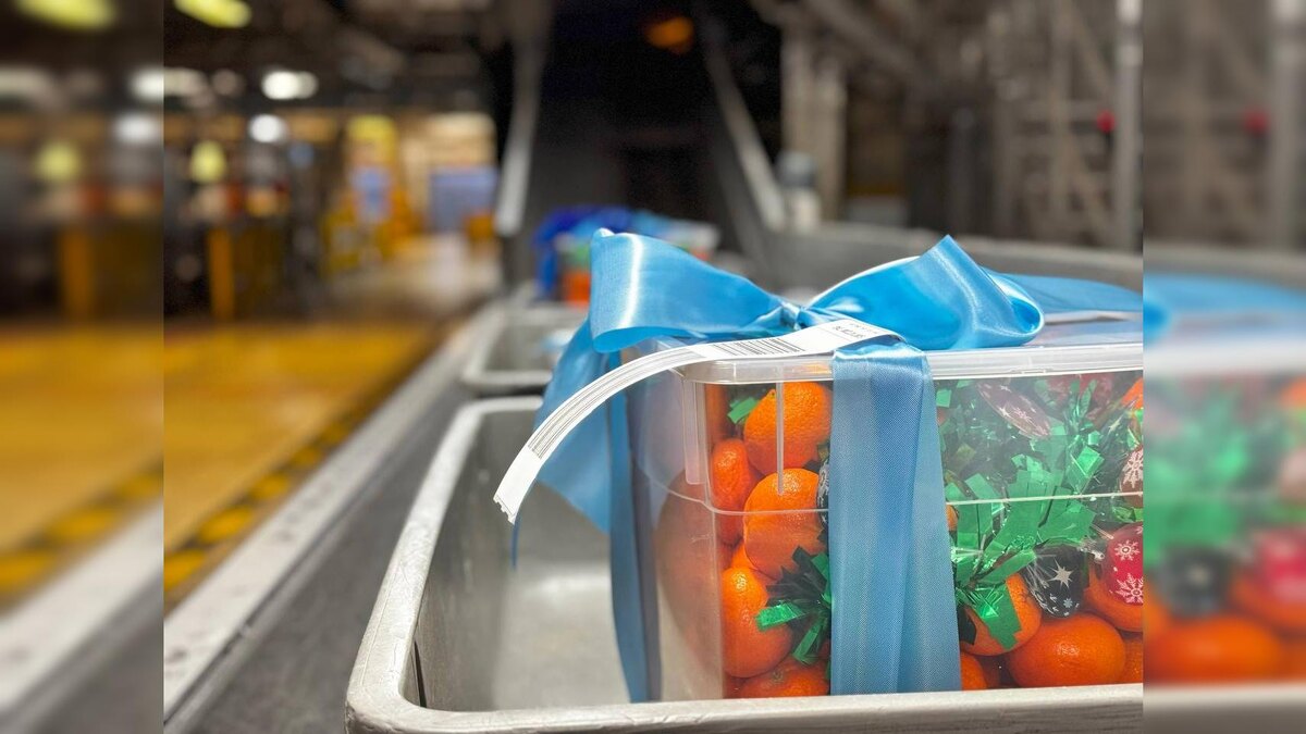    Фото: tg-канал аэропорта Пулково