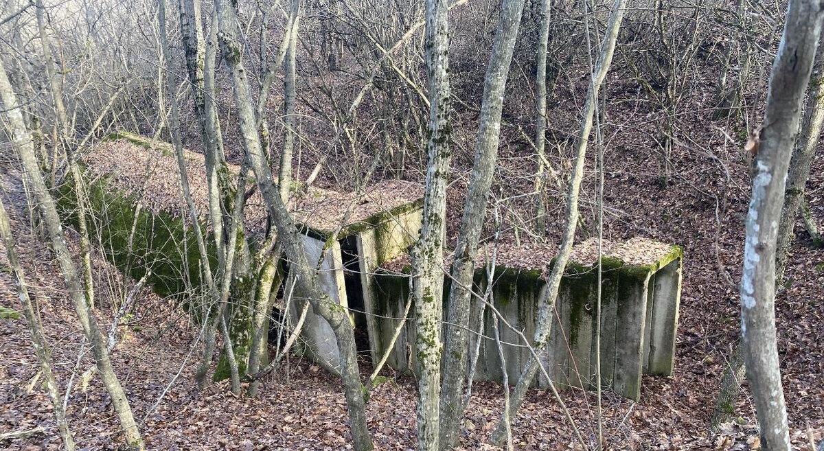 фото: Ассоциация поисковых отрядов «Кубаньпоиск»