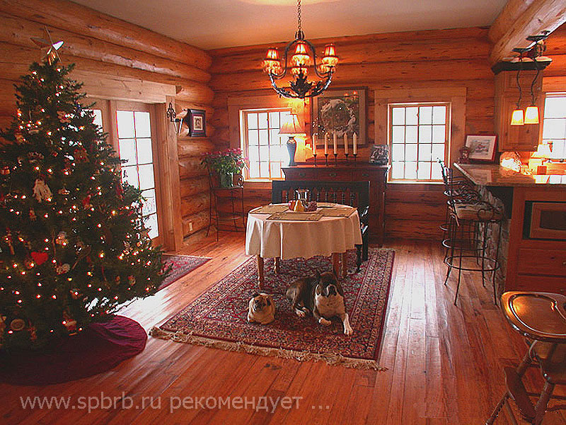 Фото взято из интернета