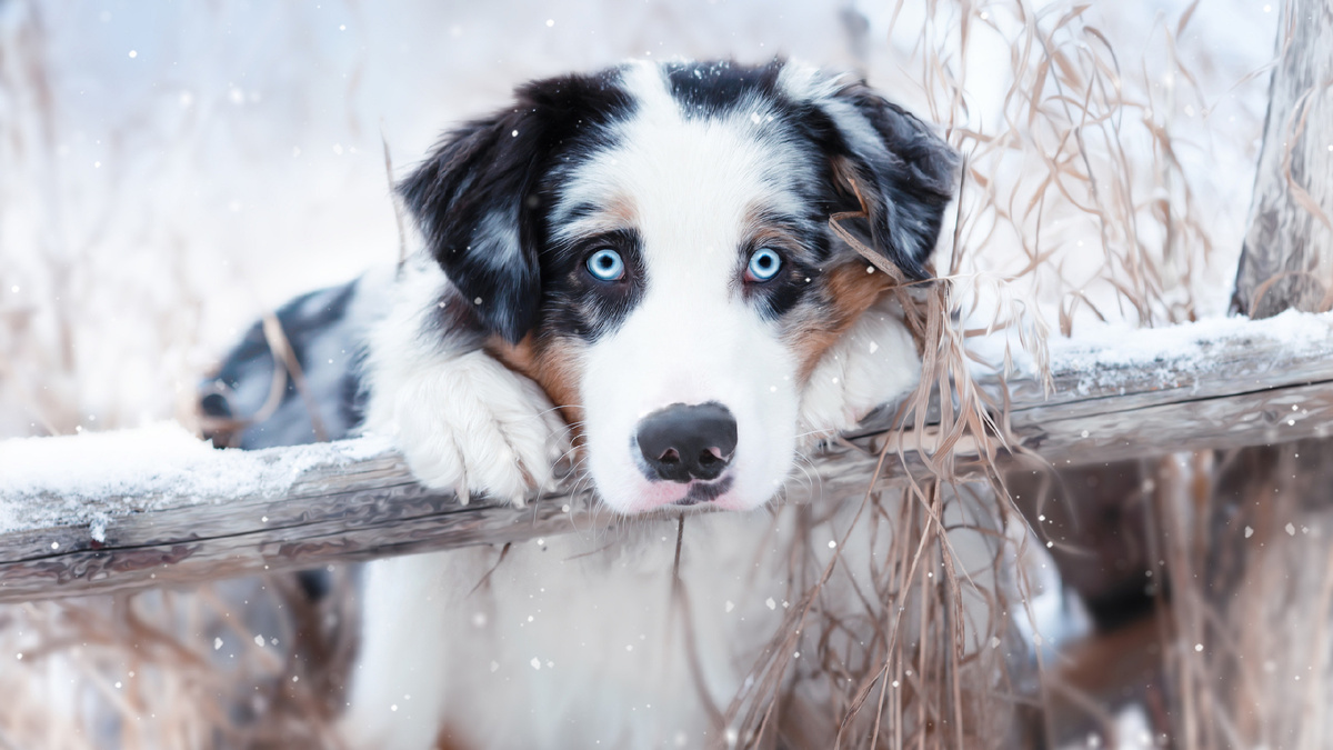 Фото взято из интернета