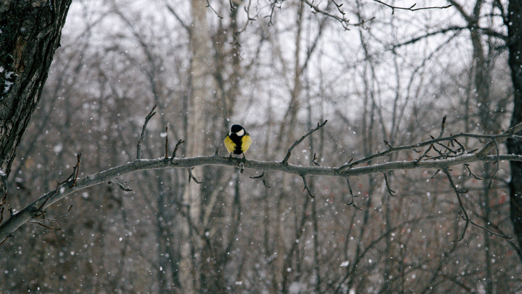    Фото: Anastasia Sorgina/Globallookpress.