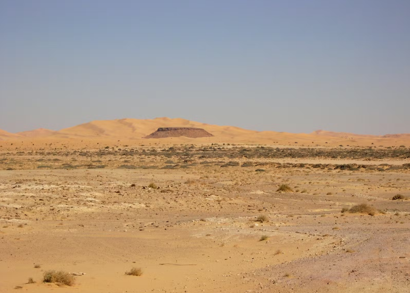 Малопригодные для жизни пространства западной Сахары являются кладовой ценных полезных ископанных