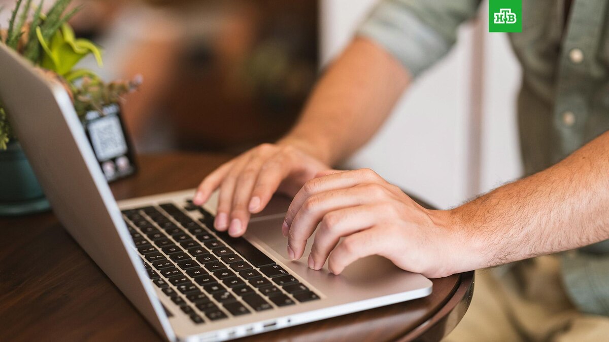    Фото: engin akyurt / unsplash.com