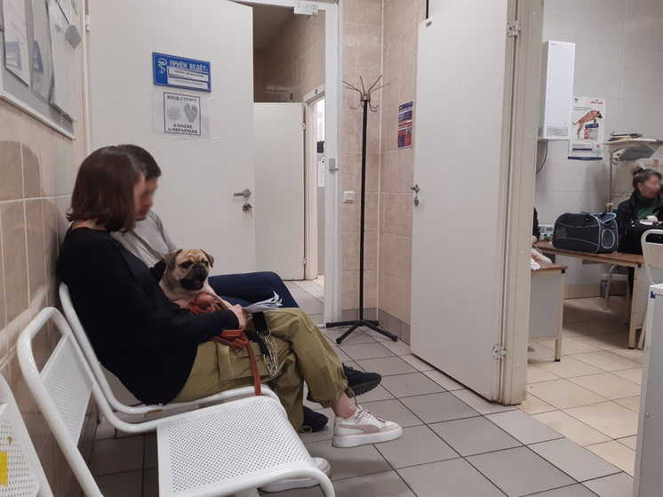     Фото: «МК в Ленобласти»