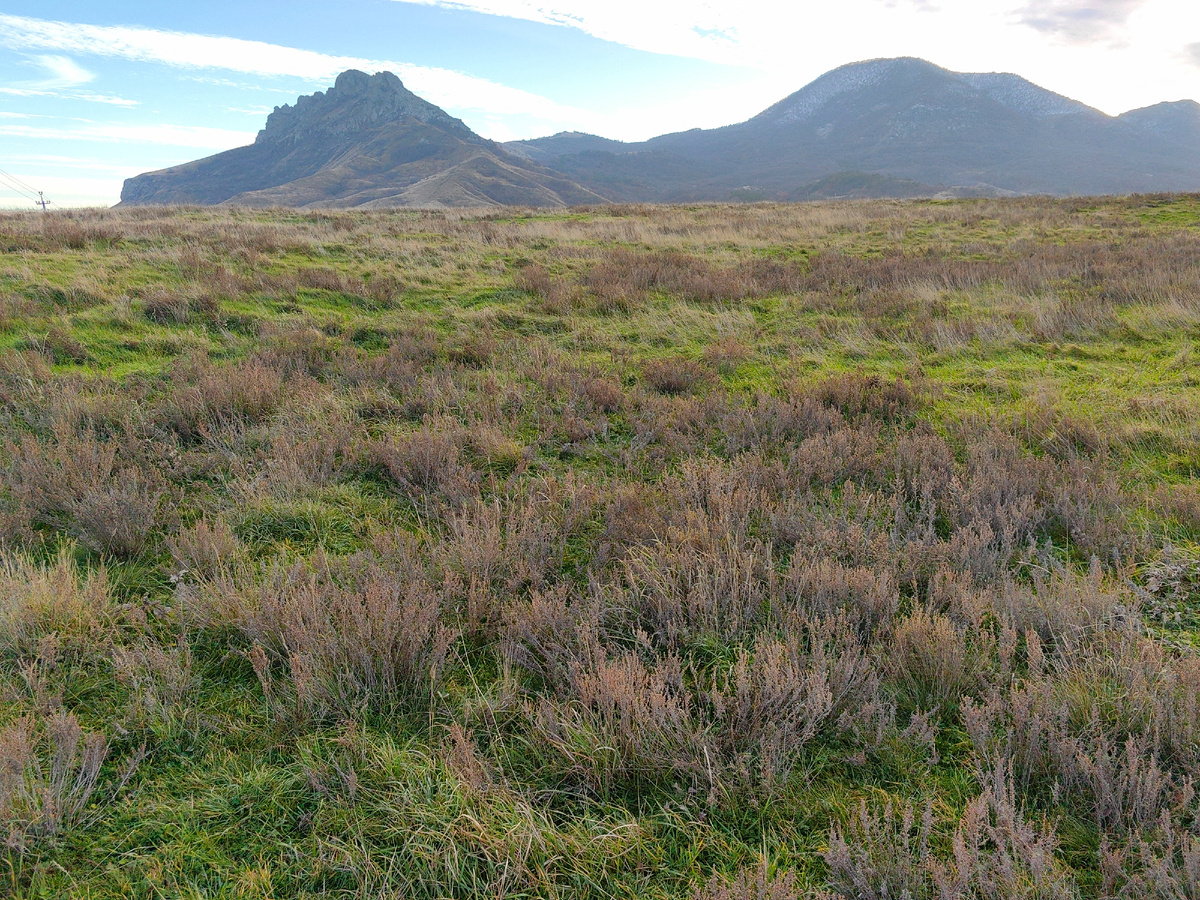 Вид на Карадаг. Сегодня. Фото автора канала