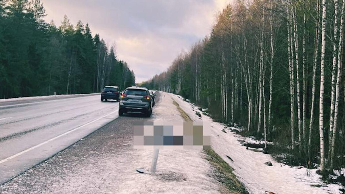    Фото: t.me/newsdorin