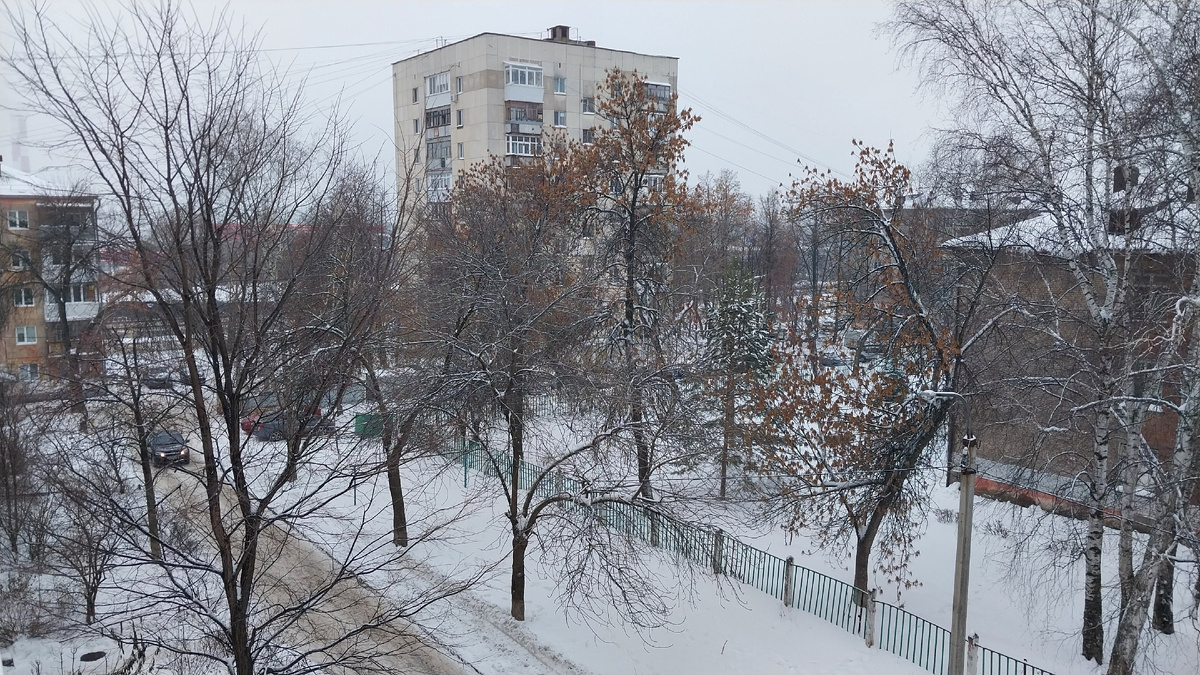 Фото автора.