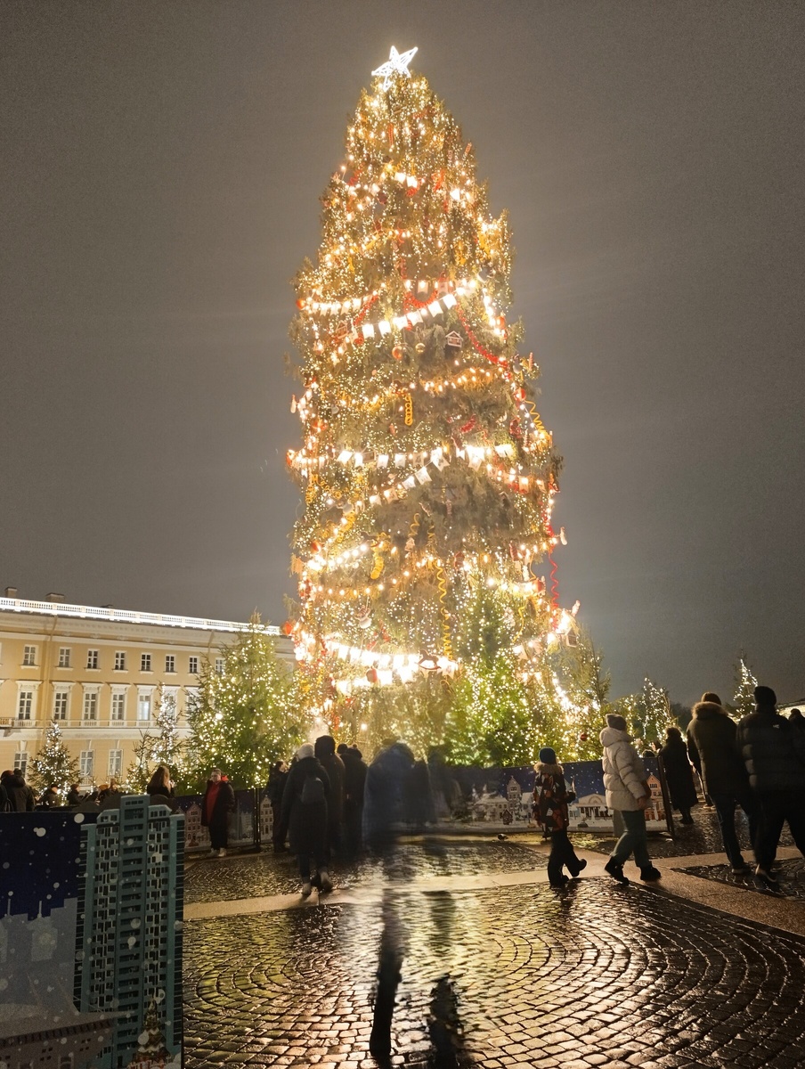 елка на Дворцовой 2024-25 годы