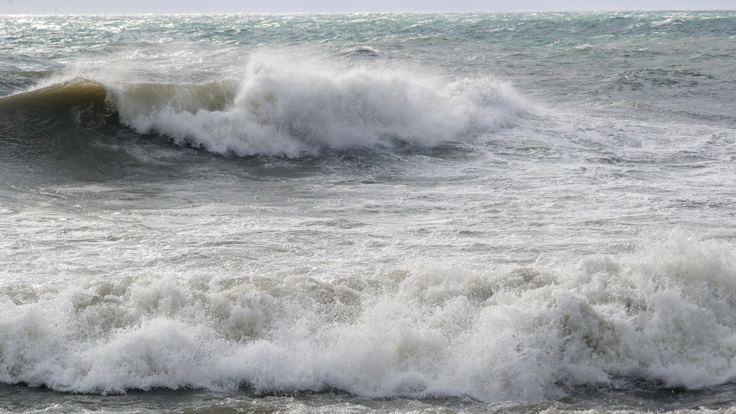    © Petrov Sergey/Globallookpress