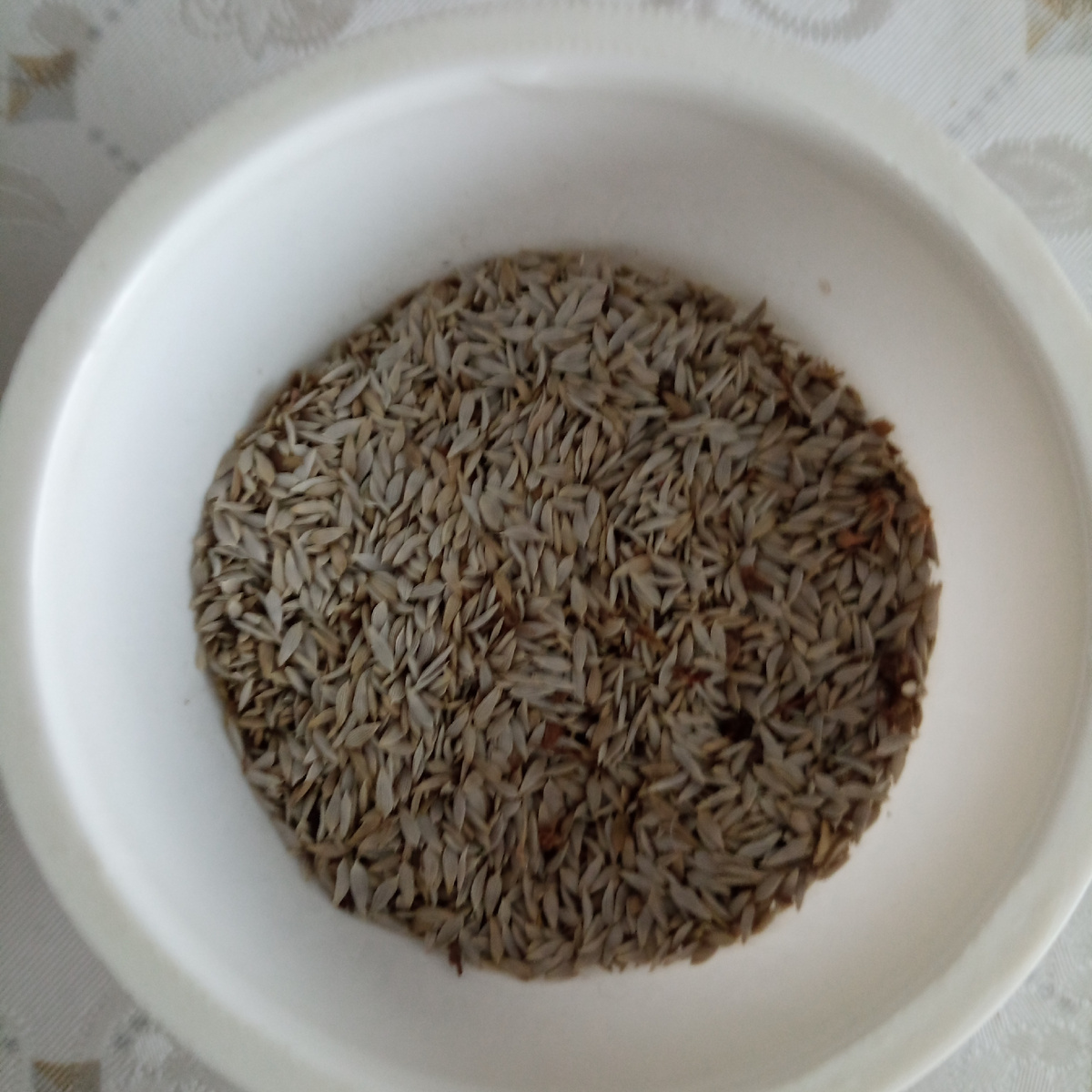 семена салата, собранные с двух  растений.