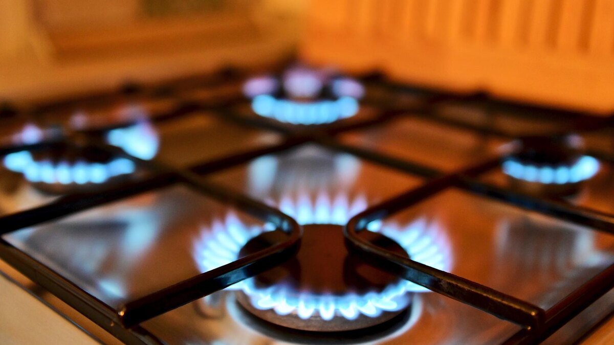    Фото: Vladimir Baranov/Globallook Press/globallookpress.com