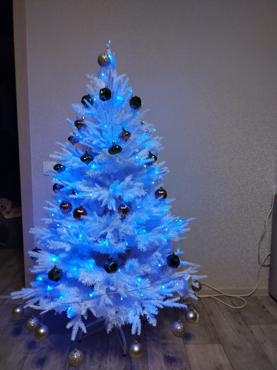 Наша красавица. 