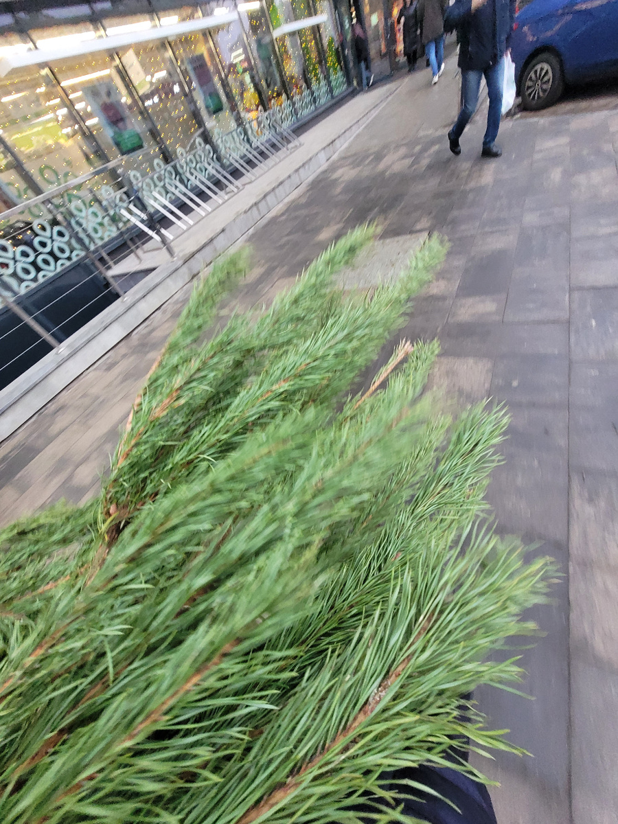 Пока несла, люди синхронно расступались,  даже машины пропускали, видели наверное, моё "довольное" выражение лица в этот момент 😅