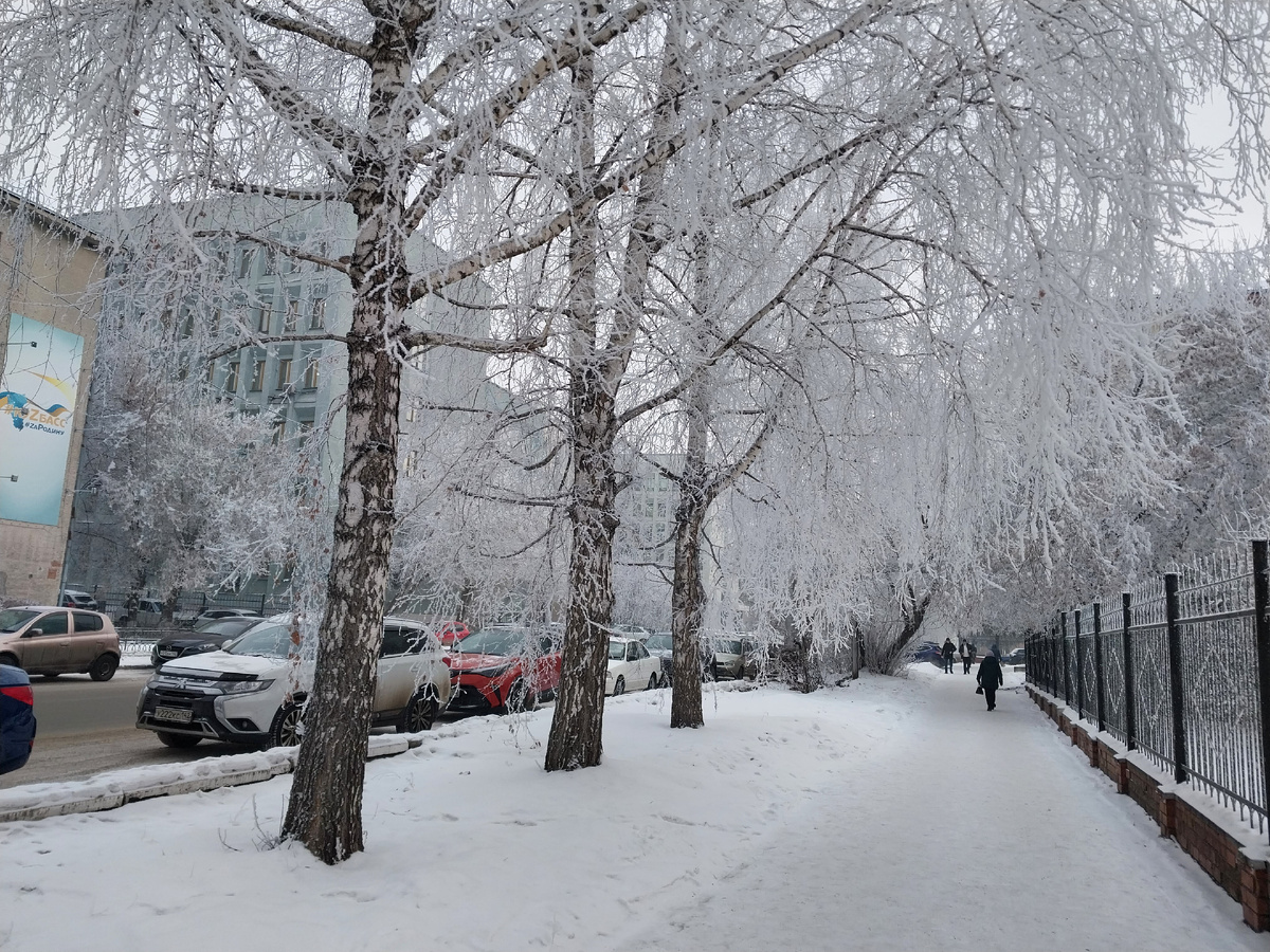 24 декабря. Улица Николая Островского