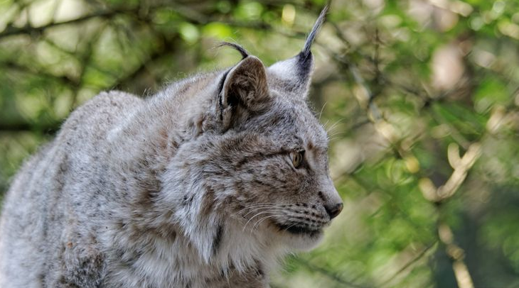 Как смотришь, так и смотришься