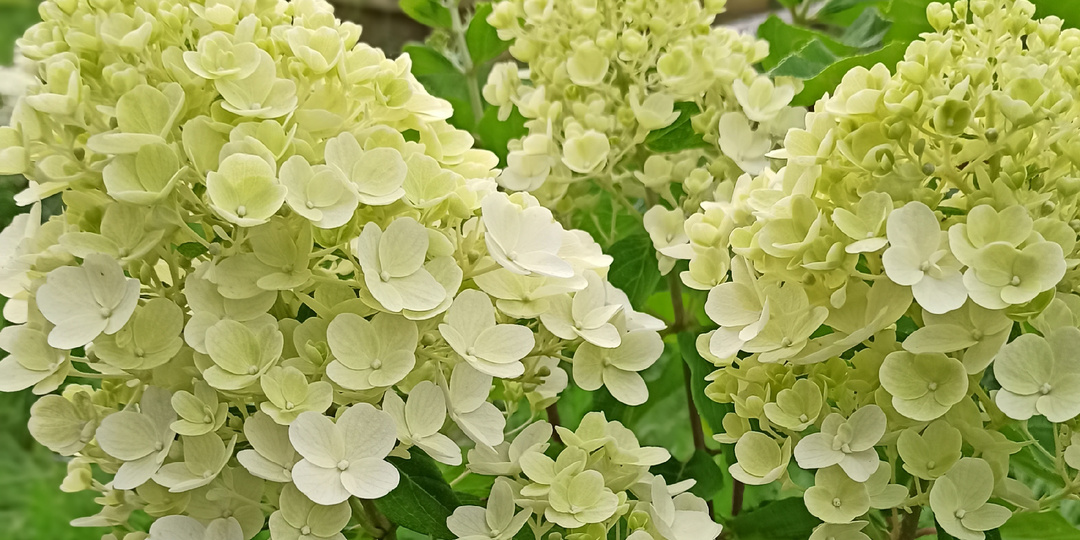 Осваиваем новые площадки. Будем знакомы.